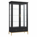 Vitrine 100 × 40 × 190 cm aus Holzwerkstoff, Glas und Metall in Schwarz/Gold mit 2 Schubladen